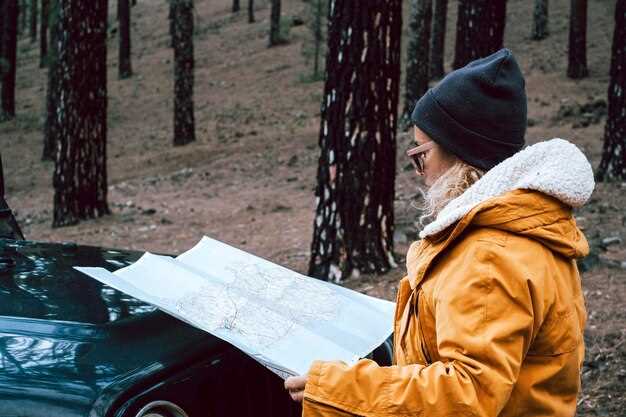 Проверка VIN-номера в сервисной книжке